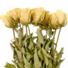 Bouquet fleurs séchées roses crème - 60 cm