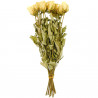 Bouquet fleurs séchées roses crème - 60 cm