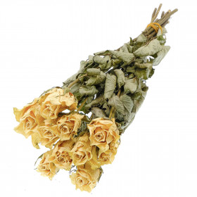 Bouquet fleurs séchées roses crème - 60 cm