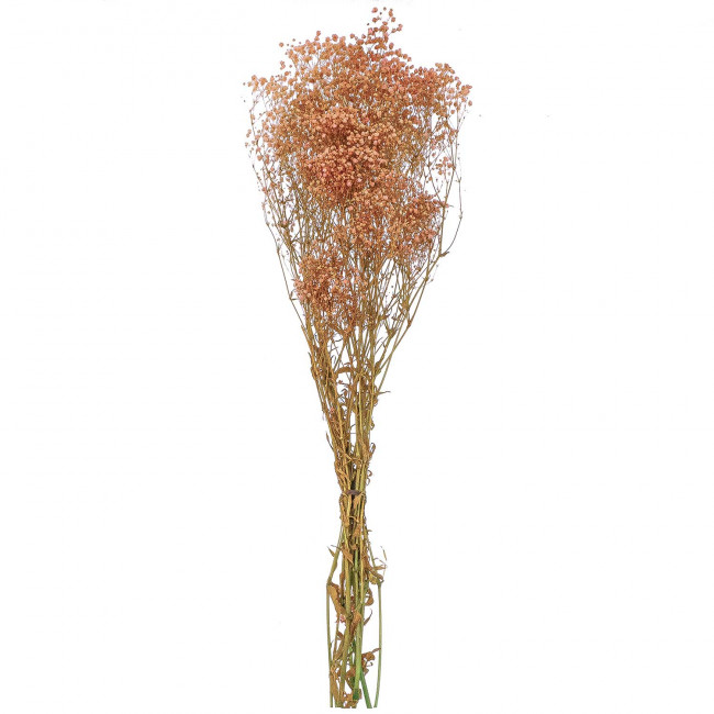 Bouquet de gypsophile paniculé stabilisé rose