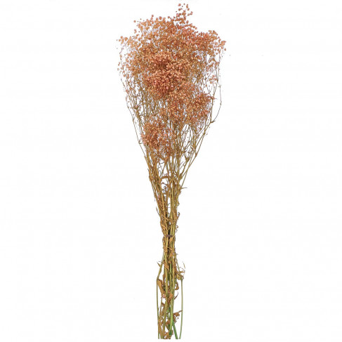 Bouquet de gypsophile paniculé stabilisé rose