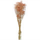 Bouquet de gypsophile paniculé stabilisé rose