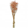 Bouquet de gypsophile paniculé stabilisé rose