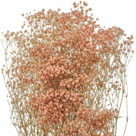 Bouquet de gypsophile paniculé stabilisé rose