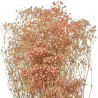 Bouquet de gypsophile paniculé stabilisé rose