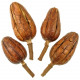 Fruits de mahogany déco séchés - Lot de 3