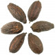 Graines de cacao déco -  Lot de 3