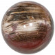 Sphère de bois fossile - 80 mm - 710 grammes