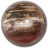 Sphère de bois fossile - 80 mm - 710 grammes