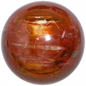 Sphère de bois fossile - 80 mm - 710 grammes