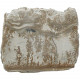 Tranche de stromatolithe polie - 37 grammes