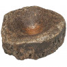 Vertèbre fossile d'ichthyosaure - 9 cm