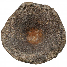Vertèbre fossile d'ichthyosaure - 9 cm