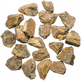 Pierres brutes stromatolithe - 3 à 5 cm - 250 grammes