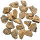 Pierres brutes stromatolithe - 3 à 5 cm - 250 grammes