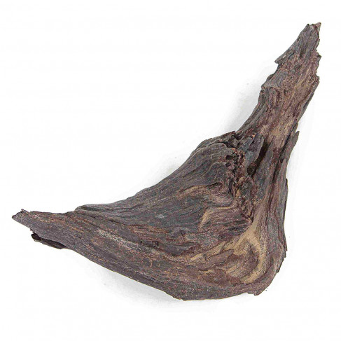 Bois flotté brun déco - 25 cm - Pièce unique