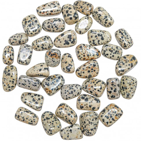 Pierres roulées jaspe dalmatien - 1.5 à 2 cm - Lot de 4