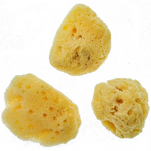Mini éponges naturelles - Lot de 3