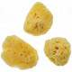 Mini éponges naturelles - Lot de 3