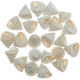 Coquillages trochus grandinatus nacrés - 1.5 à 2 cm - 100 grammes