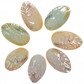 Coquillages mussel nacrés polis colorés entiers - 6 à 8 cm - Lot de 2