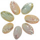 Coquillages mussel nacrés polis colorés entiers - 6 à 8 cm - Lot de 2