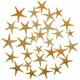 Etoiles de mer décoration astropecten vappa - mini 1 à 2 cm - Lot de 50