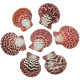 Coquillage pecten pallium entier - 4 à 5 cm - Lot de 2