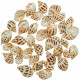 Coquillages babylonia areolata - 100 grammes