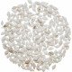 Coquillages nassarius blancs +/- 1 cm - 100 grammes