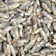Coquillages oliva gibbosa - 100 grammes