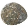 Ammonite fossile polie - 281 grammes