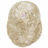 Oursins scutella - 248 grammes