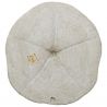Oursin clypeaster campanulatus - 667 grammes
