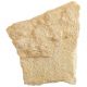 Plaque calcaire fossile avec oursins hemicidaris - 6 kg