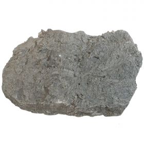Gros bloc avec coquillages potamides fossiles - 6.5 kg
