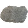 Gros bloc avec coquillages potamides fossiles - 6.5 kg