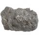 Gros bloc avec coquillages potamides fossiles - 6.5 kg