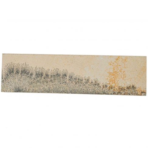Plaque calcaire avec dendrite de manganèse