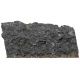 Plaque fossile avec pygidiums de trilobites - 349 grammes