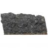 Plaque fossile avec pygidiums de trilobites - 349 grammes