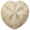 Oursin micraster fossile - 190 grammes