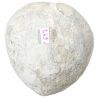 Oursin micraster fossile - 237 grammes