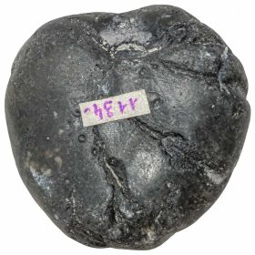 Oursin fossile - 109 grammes
