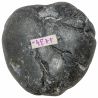 Oursin fossile - 109 grammes