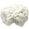 Coquillage porambonite fossile sur gangue calcaire - 645 grammes