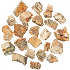 Pierres brutes bois fossilisé - 3 à 4 cm - 100 grammes