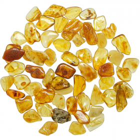Pierres roulées ambre de la mer baltique - 1.5 à 2.5 cm - 10 grammes