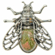 Broche abeille avec unakite