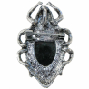Broche coléoptère avec nacre abalone